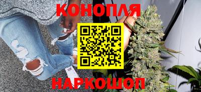 ешки Гай